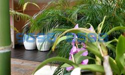 Blk 43 Stirling Road (Queenstown), HDB 4 Rooms #105244082